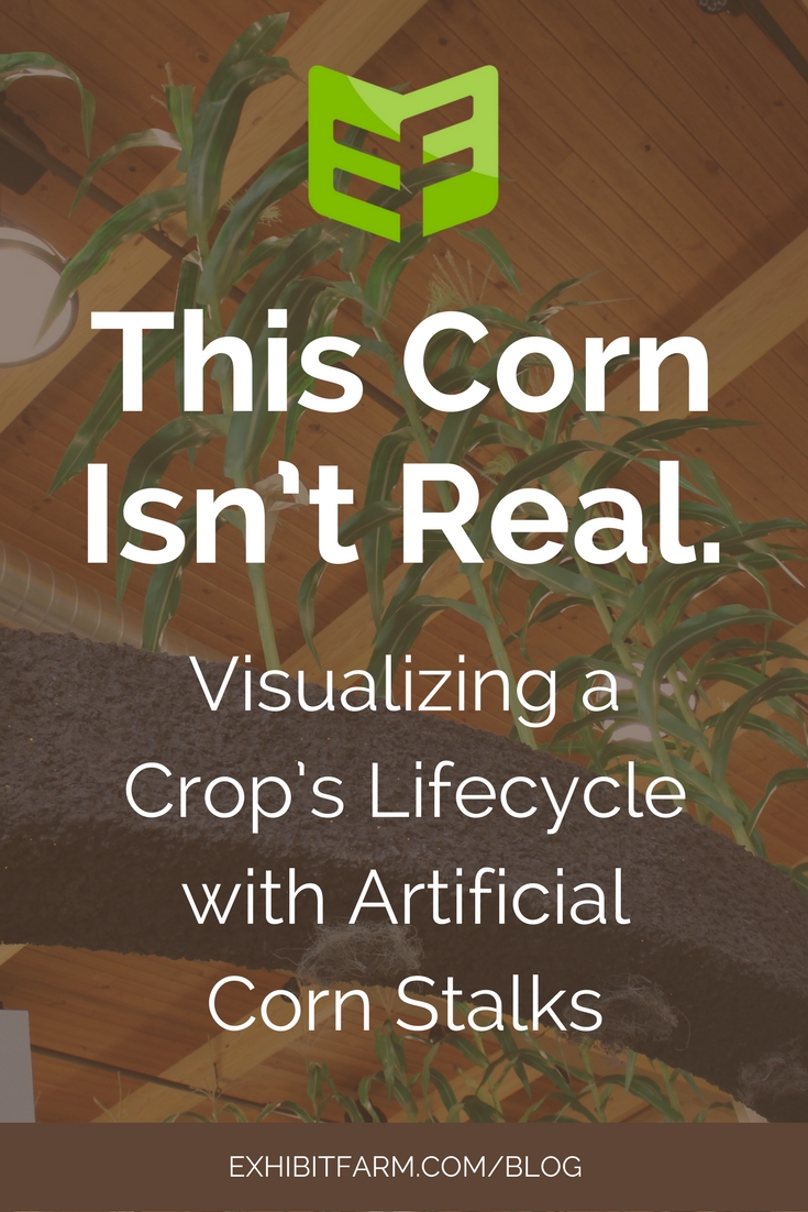 Brown graphic. Text reads, "This Corn Isn't Real: Visualizing a Crop's Lifecycle with Artificial Corn Stalks."