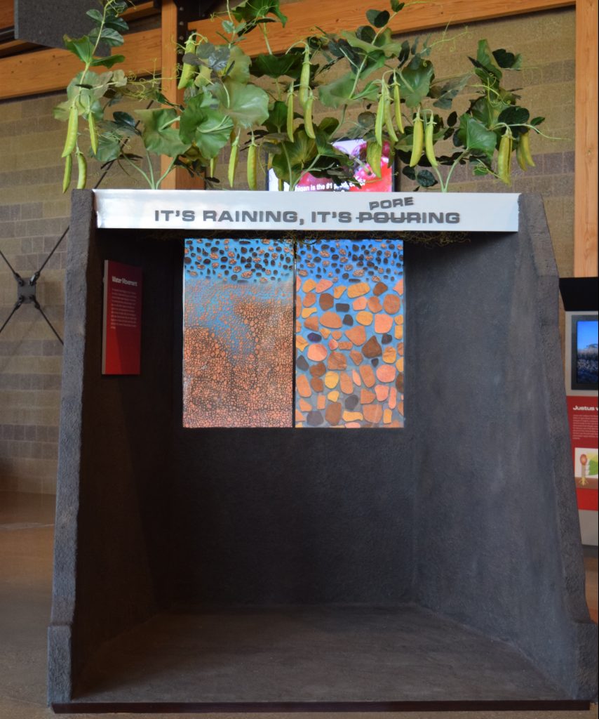 The Water Movement exhibit, showing pea plant replicas on top of walk-in exhibit that mimics underground environment.