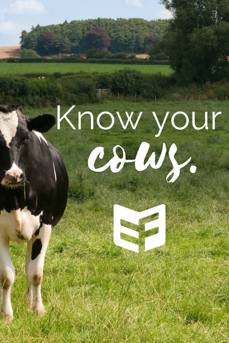 Know Your Cows Pinterest