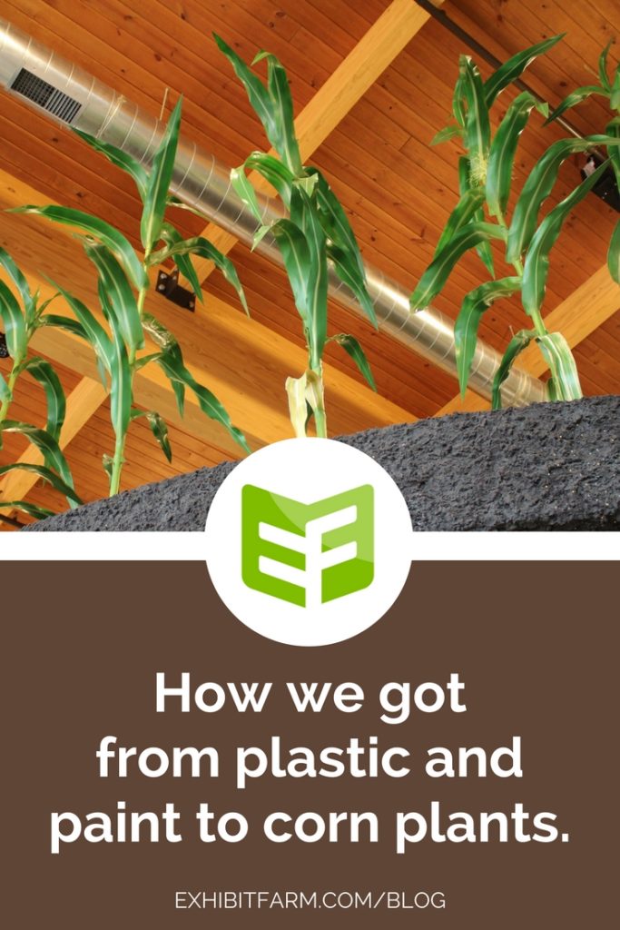 Behind the Scenes The Making of Artificial Corn Plants Exhibit Farm