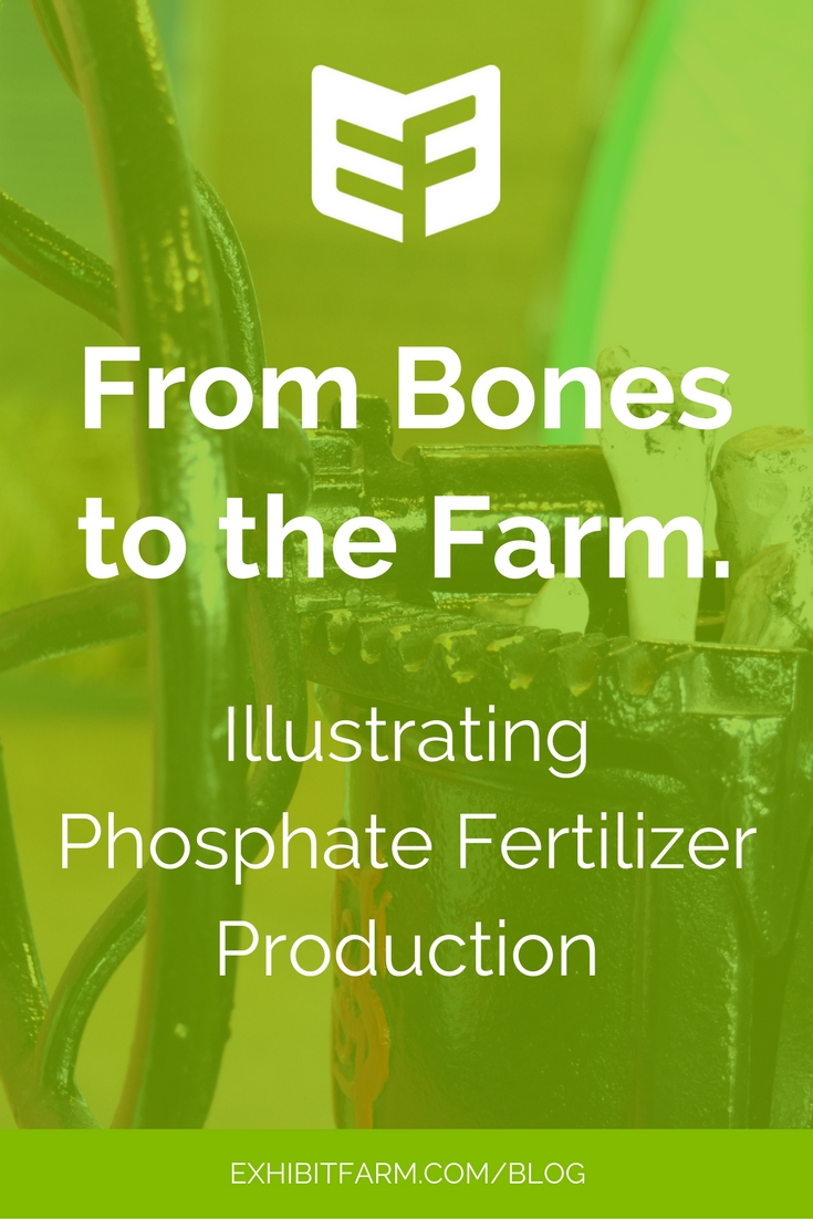 Lime green graphic. Text reads, "From Bones to the Farm: Illustrating Phosphate Fertilizer Production."