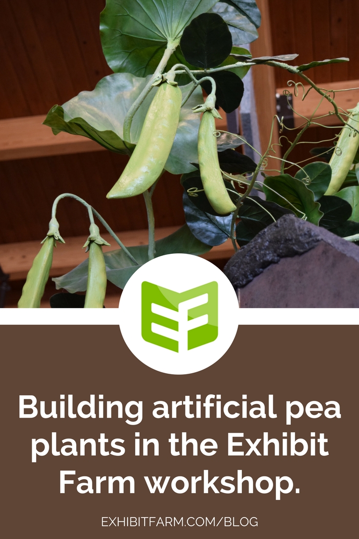 Making of Pea Plants Post