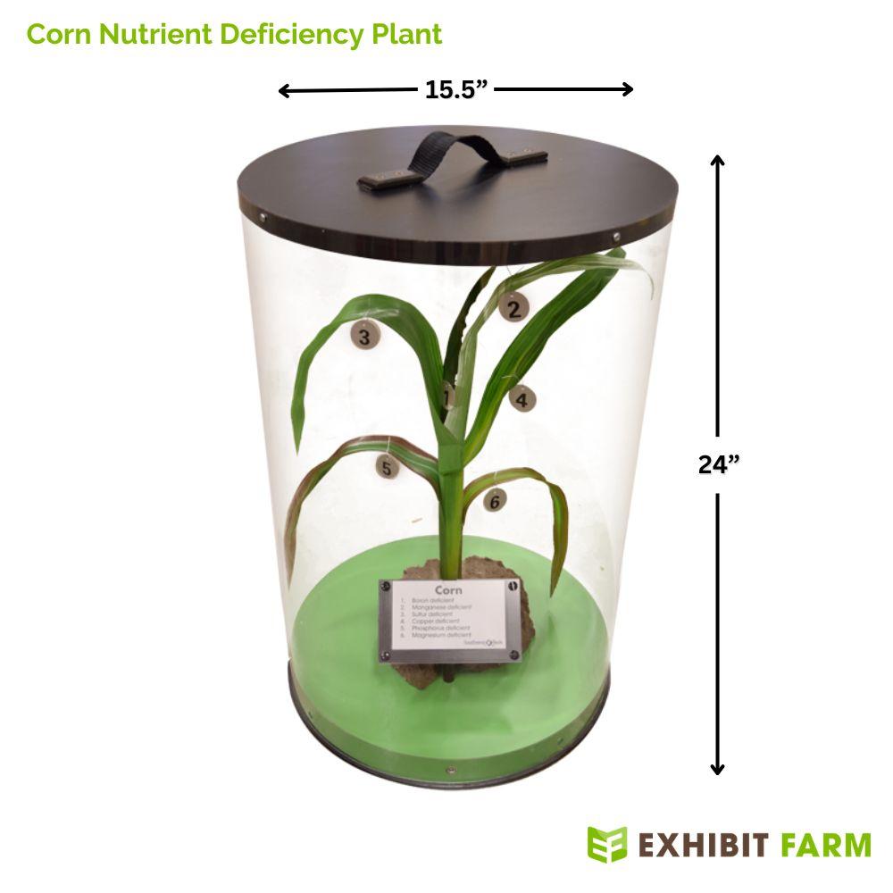 An example of a Corn Nutrient Deficiency Model
