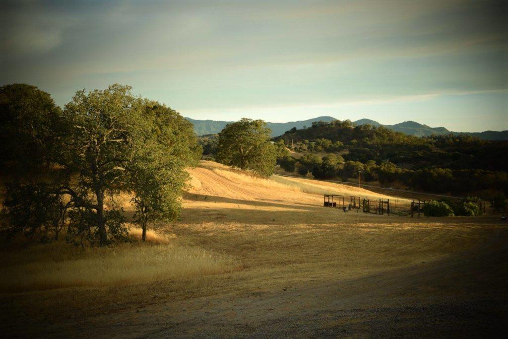 (Temporary) Photo of California Countryside