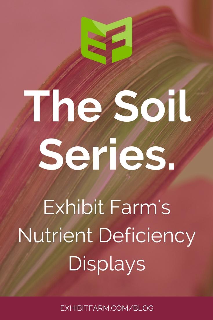 Pink graphic; text reads, "The Soil Series: Exhibit Farm's Nutrient Deficiency Displays."