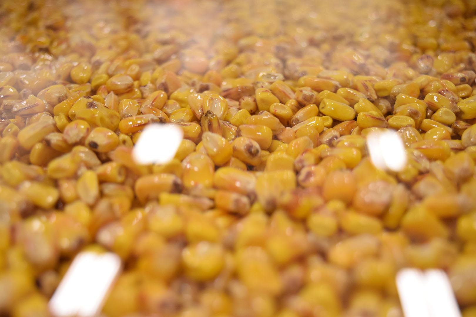 Corn Countertop Closeup