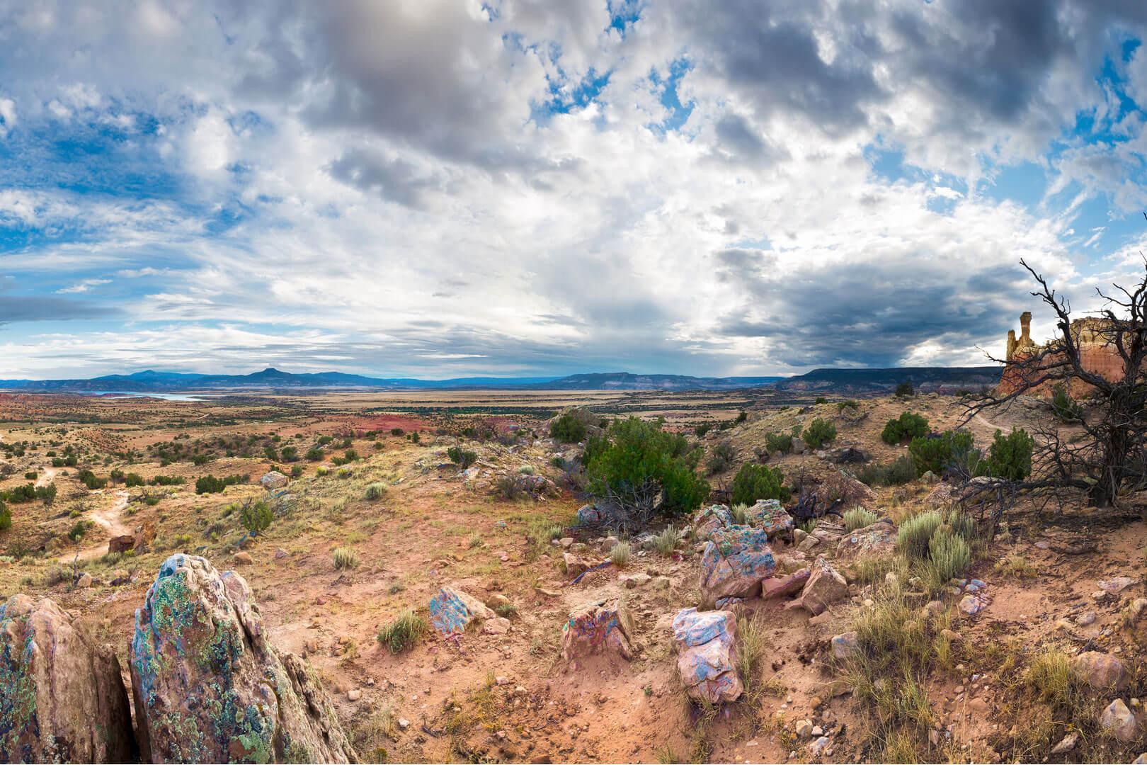 Promo image for article on New Mexico ag, showing mountains, rocks, sagebrush, and scattered clouds