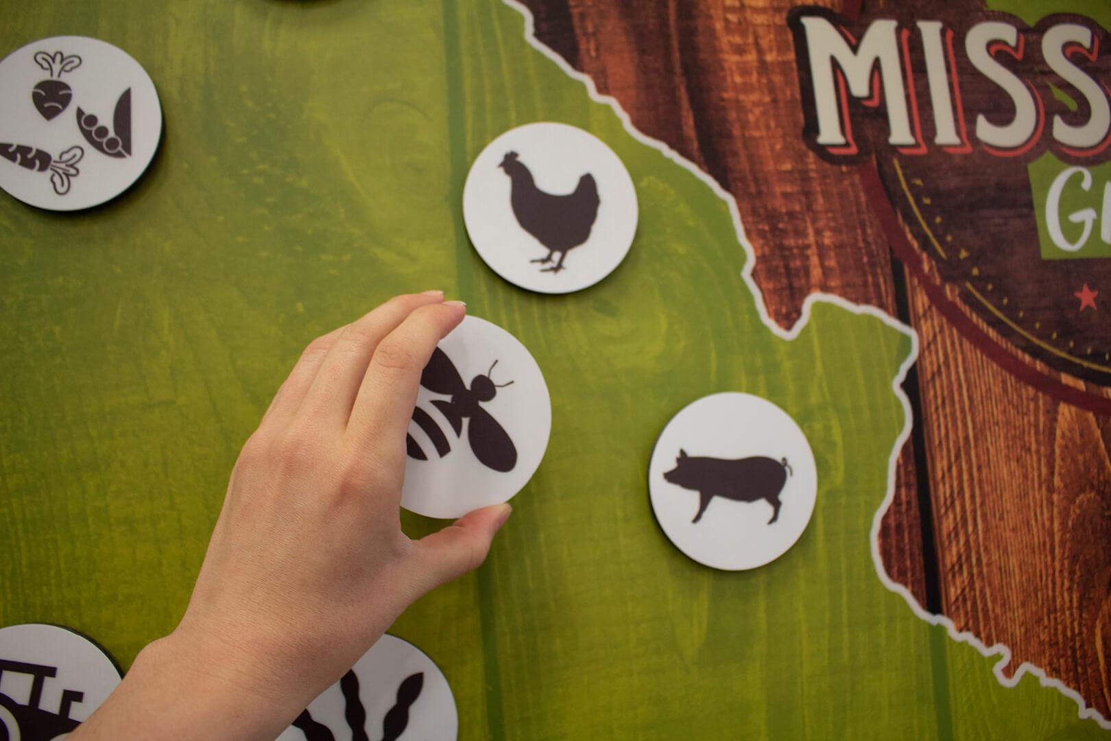 Photo showing someone placing a magnet on the map incorporated into the Agricultural Diversity Display