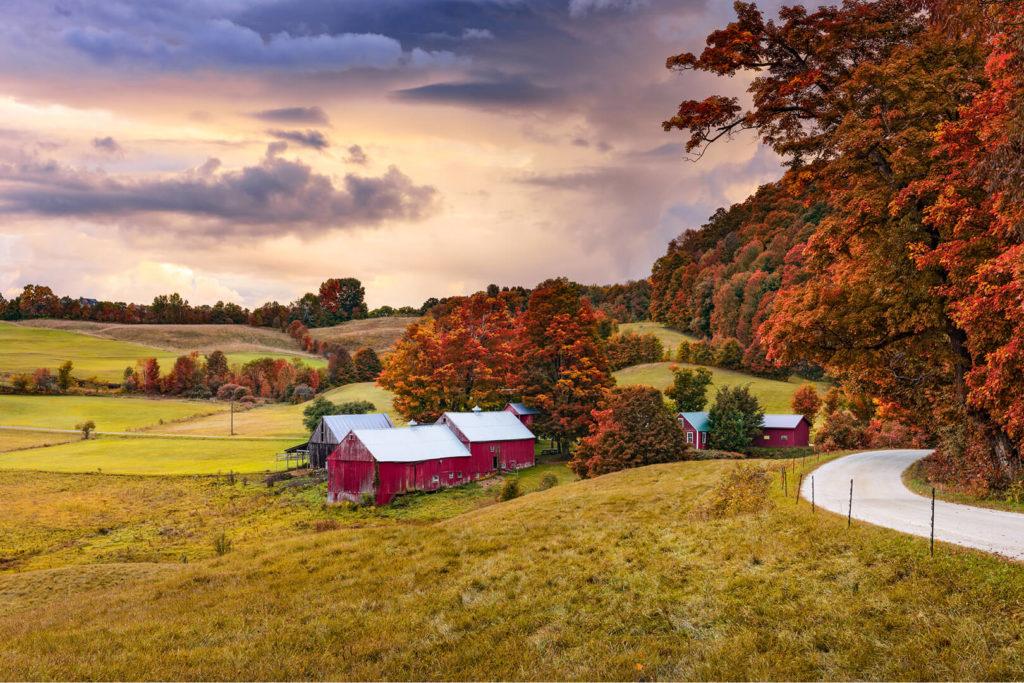 Vermont farm with red barns on hilly landscape, with rusty orange trees and purple clouds in the background
