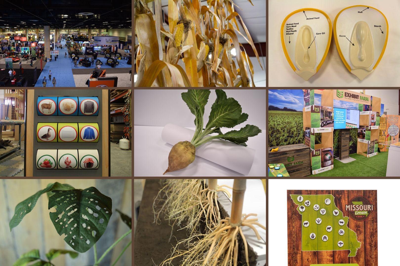 Collage of photos from Exhibit Farm's project for the 2019 in review article