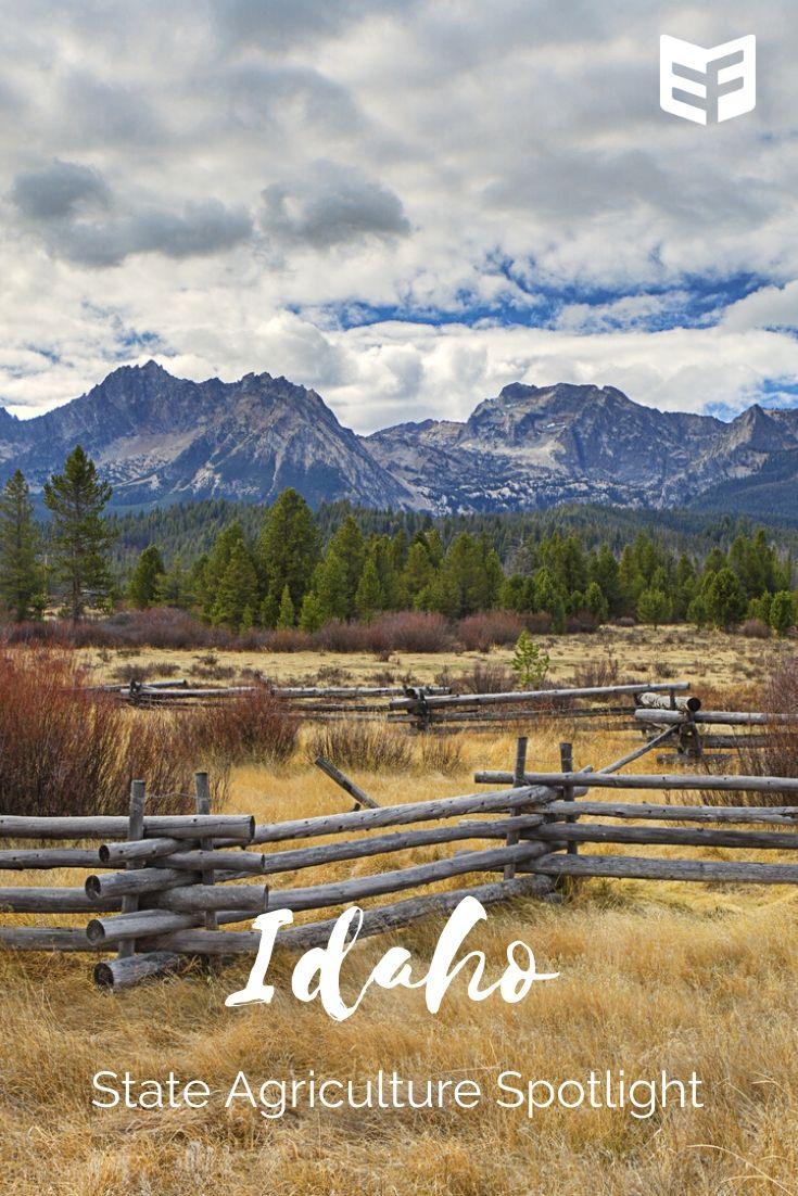 State Ag Spotlight Idaho Agriculture Exhibit Farm The Leader in