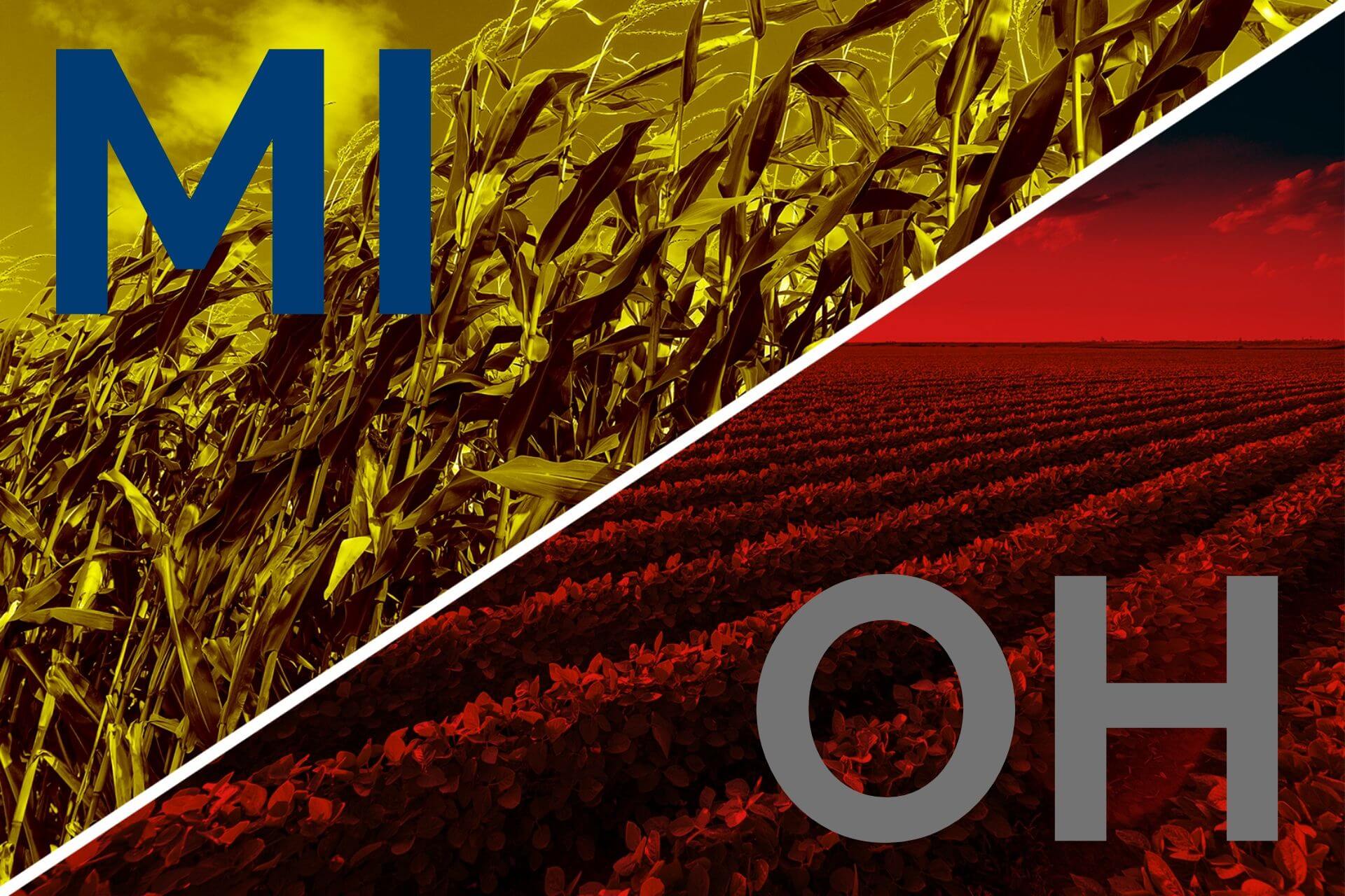 Promo for article comparing Michigan and Ohio agriculture. Graphic is split between red and yellow filters over photos of soybeans and corn respectively.