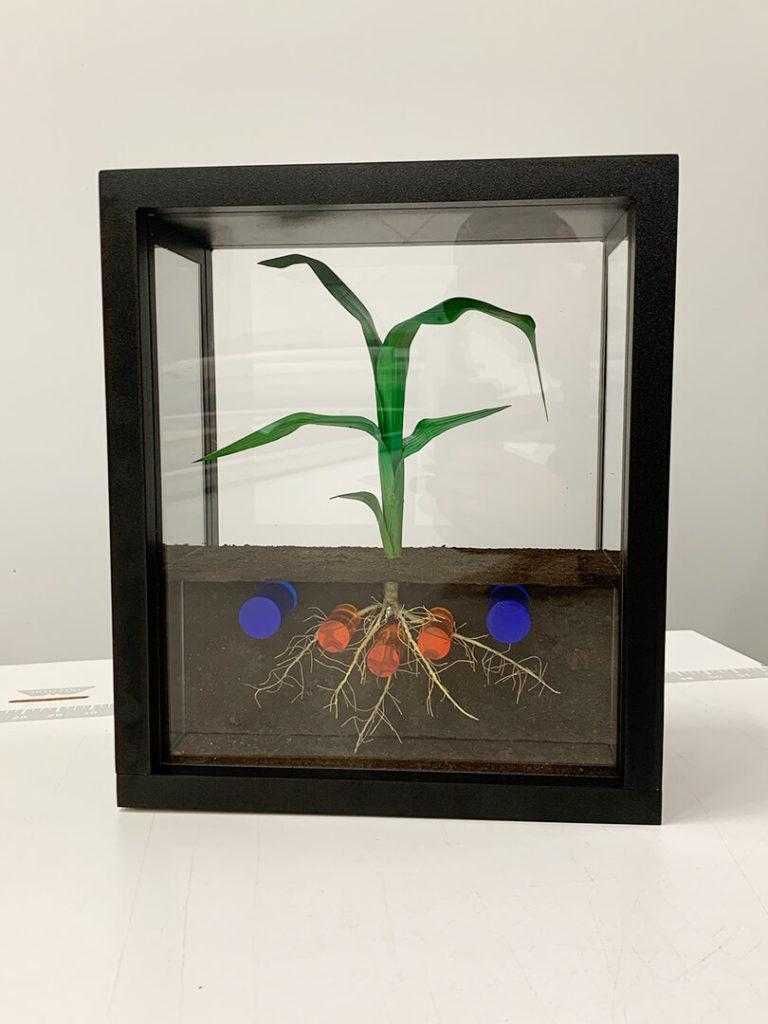 Fertilizer placement display with artificial plant and colored acrylic to represent fertilizer