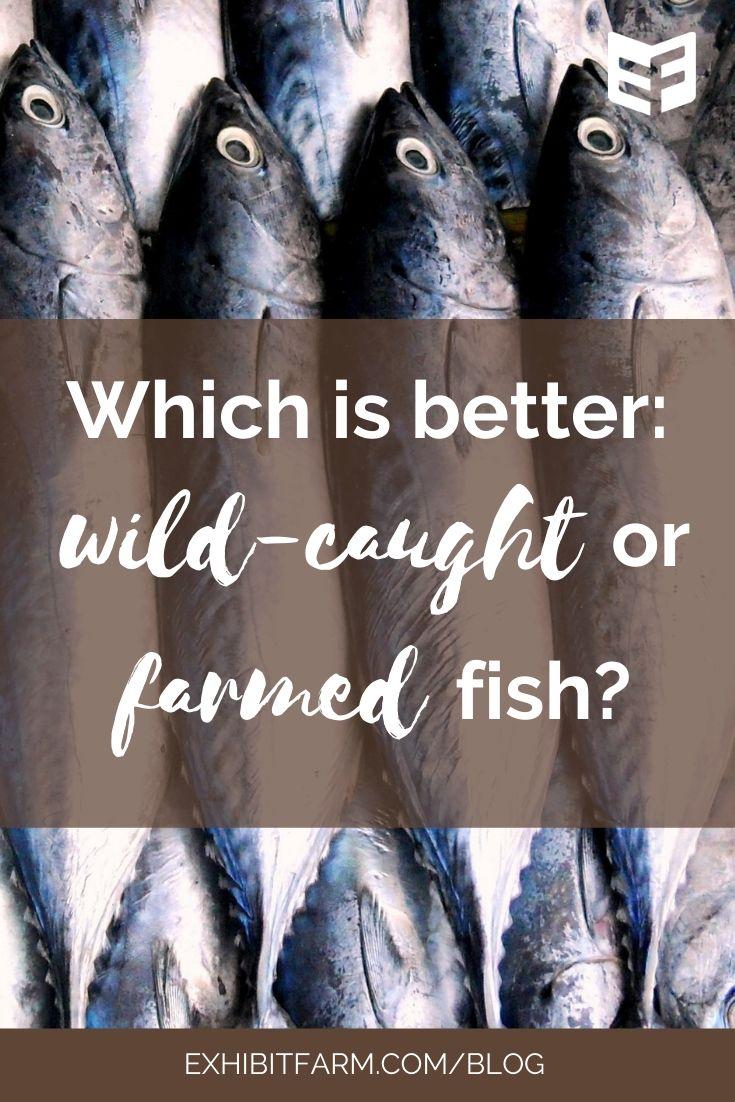 WildCaught vs. Farmed Fish Answering Consumers’ Questions Exhibit