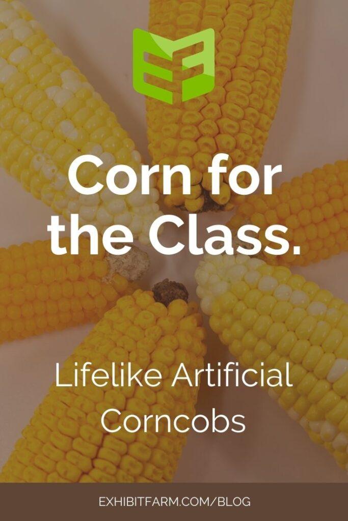 Brown graphic; text reads "Corn for the Class: Lifelike Artificial Corncobs"