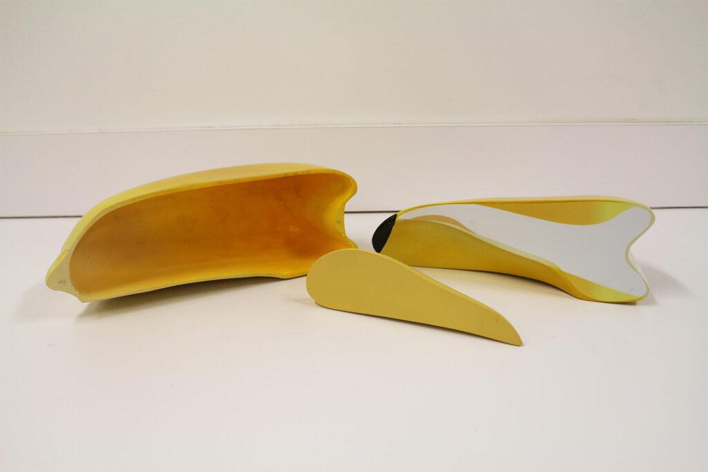 Disassembled pieces of corn kernel model
