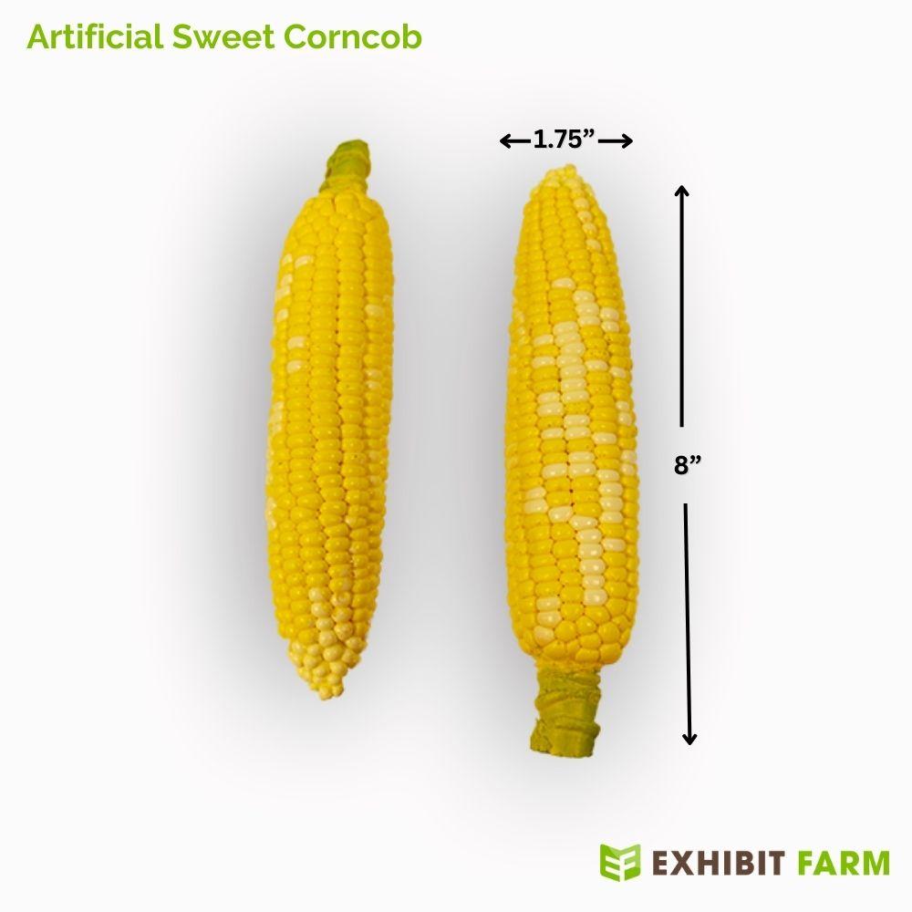 Artificial sweet corncob product photo