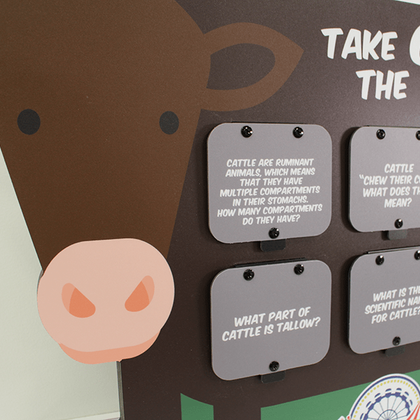 Closeup of the cow graphics and two rows of flip-up fact panels