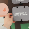 A hand lifting one of the Q&A panels on the tabletop beef cow display