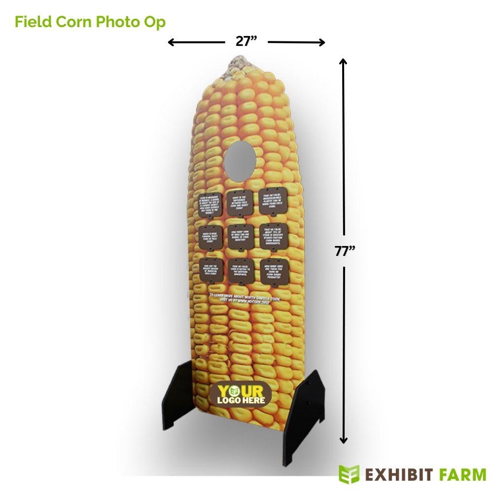 Standup display about field corn, with graphics showing a dry corncob