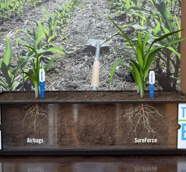 Planting technology display with the panels open to show the roots of the artificial corn plants
