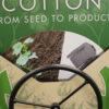 Two sections of photo wheel on cotton life cycle display. Right side shows gray cotton sweater. Left side shows small cotton plants in soil.