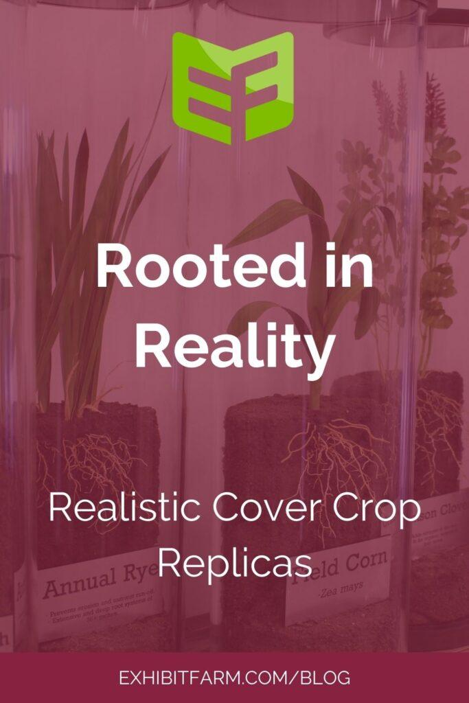 Maroon graphic. Text reads, "Rooted in Reality: Realistic Cover Crop Replicas."