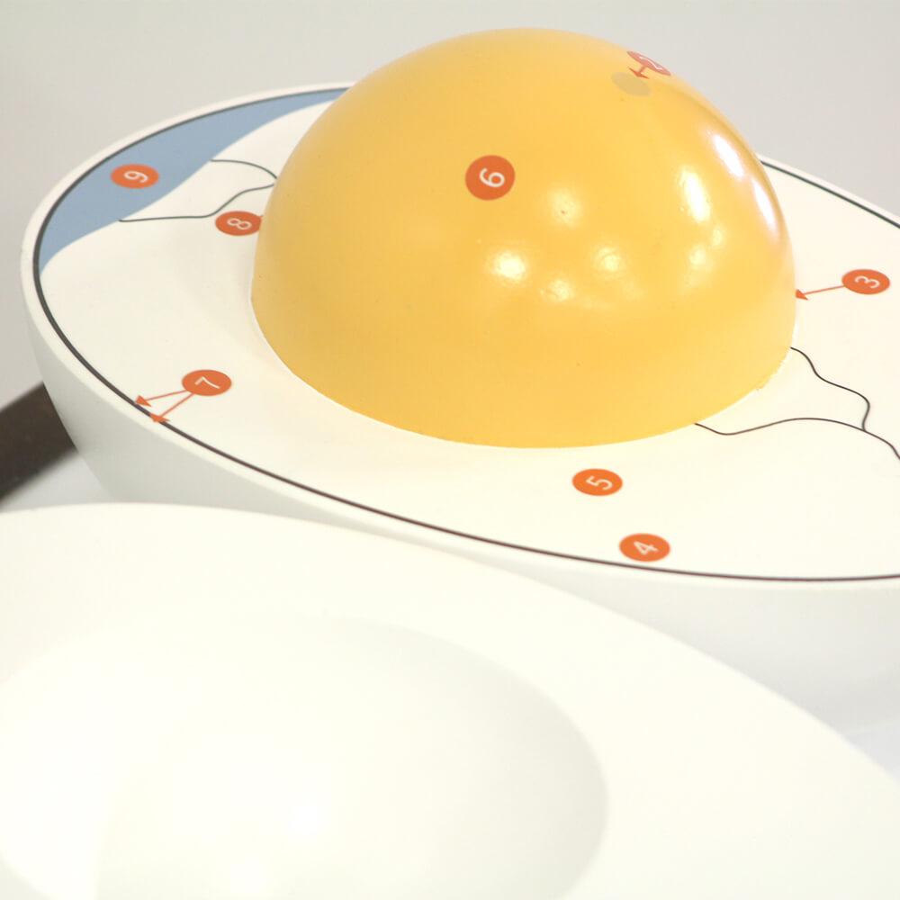 Side view of the yolk half, showing the 3D yolk and labels.