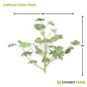 Artificial cotton plant model isolated on white background