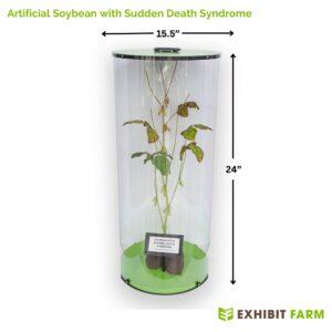 Realistic model of soybean with Sudden Death Syndrome.