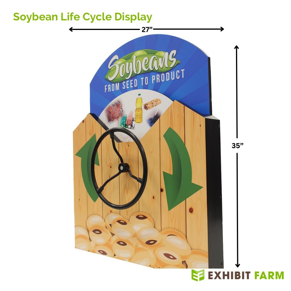 Angled view of the soybean lifecycle display