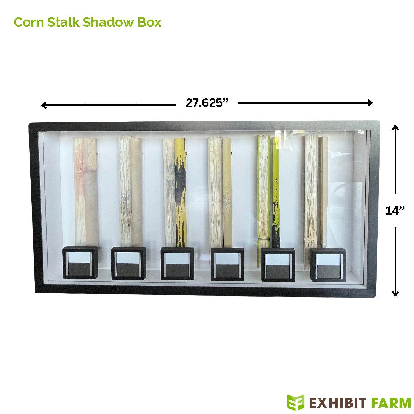 Corn Stalk Shadow Box main