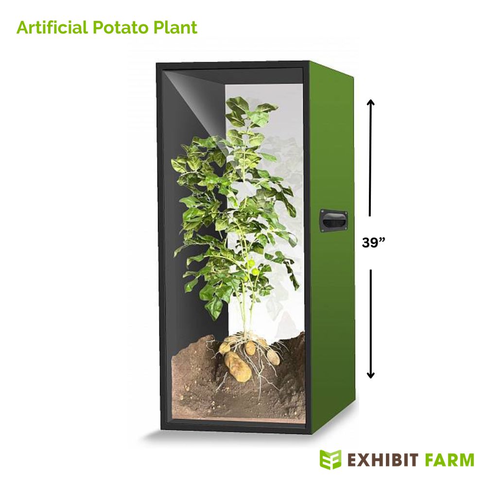 Artificial Potato Plant – 1